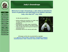 Tablet Screenshot of judyssnowdrops.co.uk